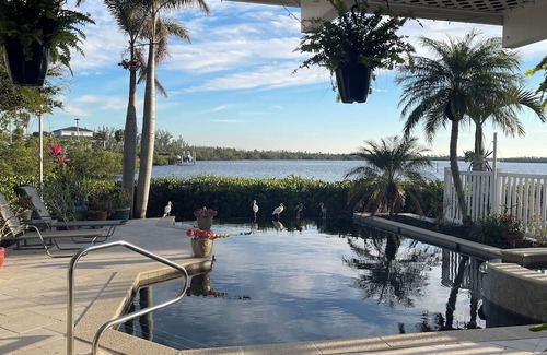 Bokeelia House | Luxury Waterfront Paradise in Bokeelia - Infinity Pool, Dock and Outdoor Bar