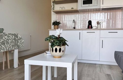 Soto de la Marina Apartment | Apartment-Ensuite with Shower-Terrace