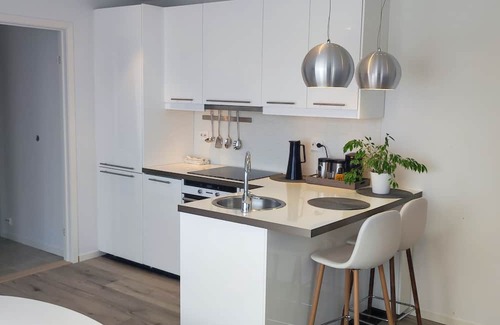 Mandal Apartment | Cozy apartment in Mandal