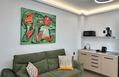 Satu Mare Apartment | Olive Deluxe King Studio by Eclectic 6