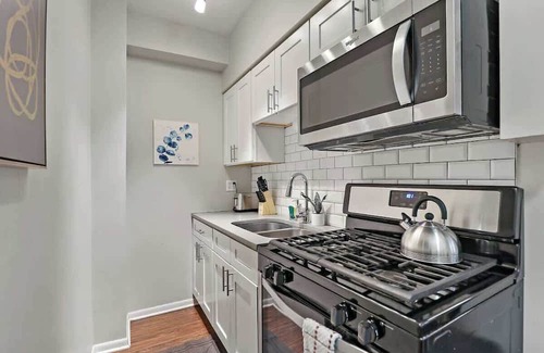 Hyde Park Apartment | 1BR Modern & Chic Apt in Downtown Chicago