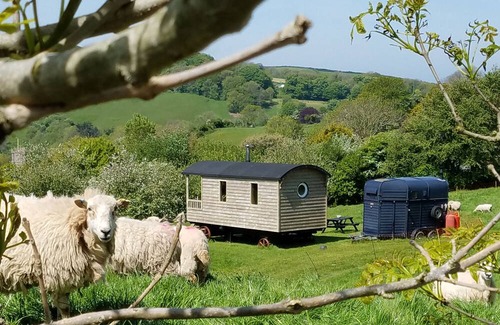 Berrynarbor House | North Devon cosy Shepherds Hut plus outdoor bath. Romantic getaway.
