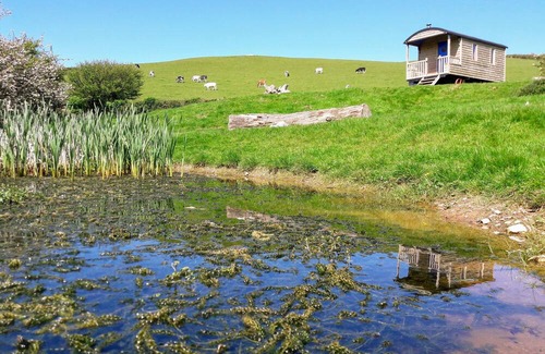 Berrynarbor House | North Devon cosy Shepherds Hut plus outdoor bath. Romantic getaway.