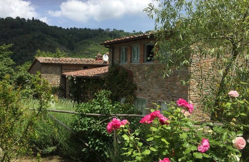 Poggio Alla Croce House | Chianti, only 18 km from Florence, vineyard, olives groves, wildlifenGreat view