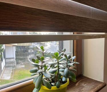 Kopaonik Apartment | Anastasija 109