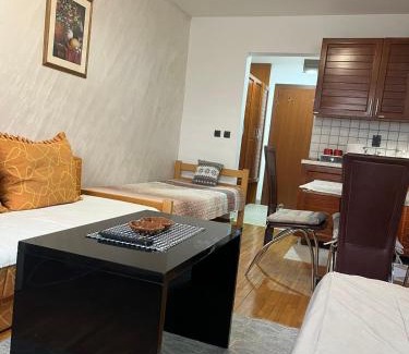 Kopaonik Apartment | Anastasija 109