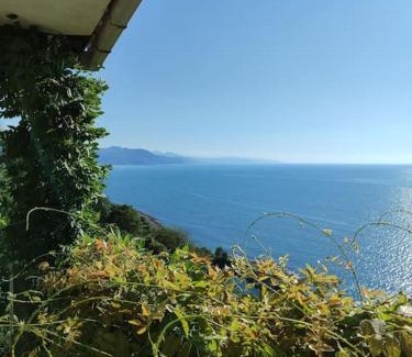 Cayeli House | Kemer Kır Evi