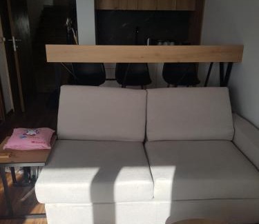 Kopaonik Apartment | A 27 Ariš GARSONJERA