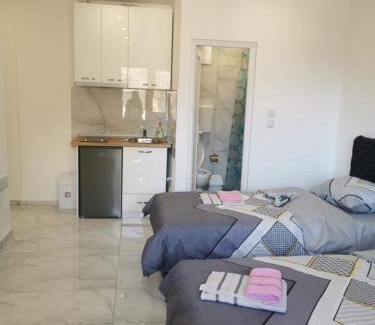 Central Serbia Apartment | Aleksandar