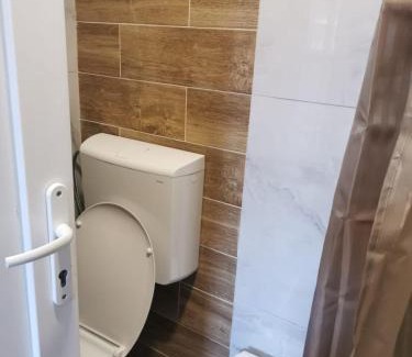 Central Serbia Apartment | Aleksandar