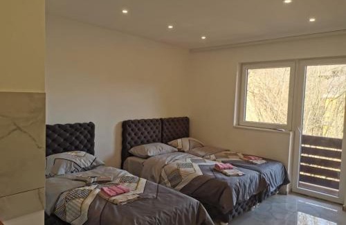 Central Serbia Apartment | Aleksandar