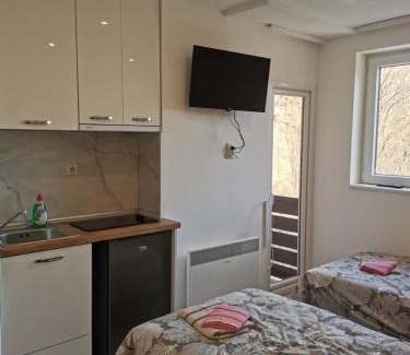 Central Serbia Apartment | Aleksandar
