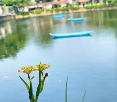 Vung Tau Bed & Breakfast | Biệt thự 128 Hoàng Hoa Thám