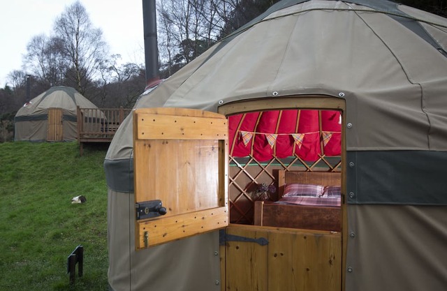 Charming Yurt in Kelburn Estate near Largs