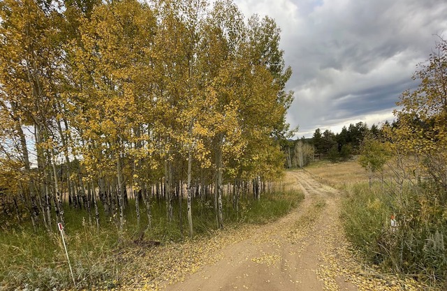 Slice of Wild Heaven: Magical, Cozy, Forest Cabin @ the Top of the World. Views