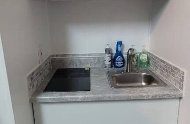 Bright, spacious private room/bathroom/entrance.