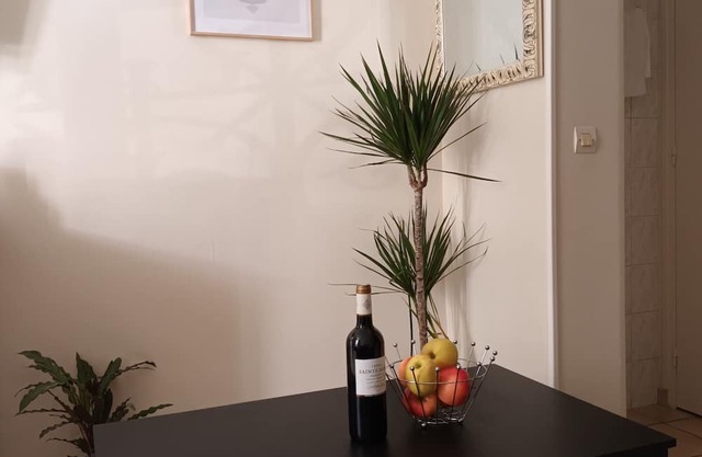 Apartment in central Paris