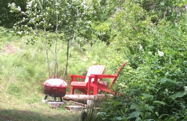 Nature lovers, peace and quiet woods all around you but just 7 miles to town