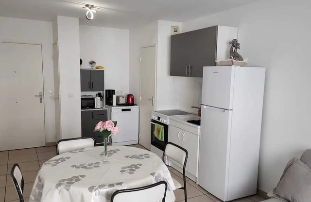 Homerez - Charming Apt - Villeurbanne