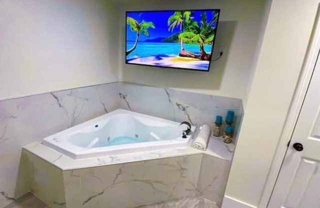 Luxury Studio-Apt w/ Jacuzzi 8 mi from IAH