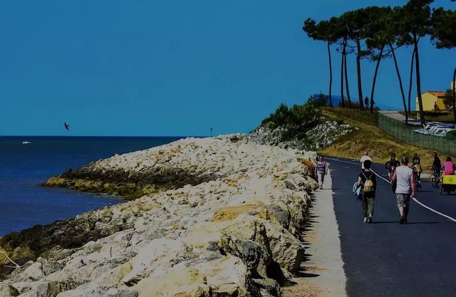 Camping Bonne Anse Plage by Océan Mobilhomes * - Mobile Home BA272 - 40 m2 3 Bedrooms 6 people