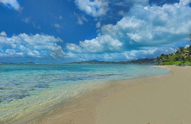 Caribbean Breeze