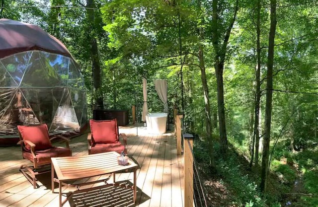 Wildwood-Magical dome home in the forest!