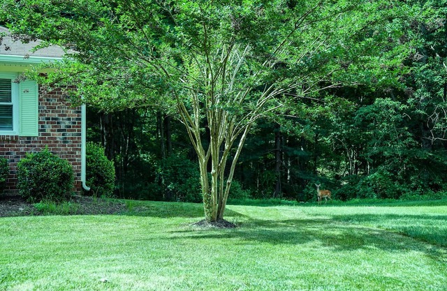 Beautiful, Peaceful, and Professionally Decorated 5 bedrooms. Wooded view