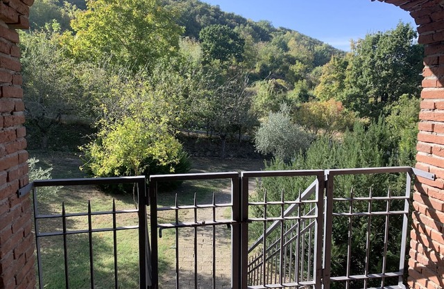 Large spacious pet-friendly apartment in the heart of the countryside.