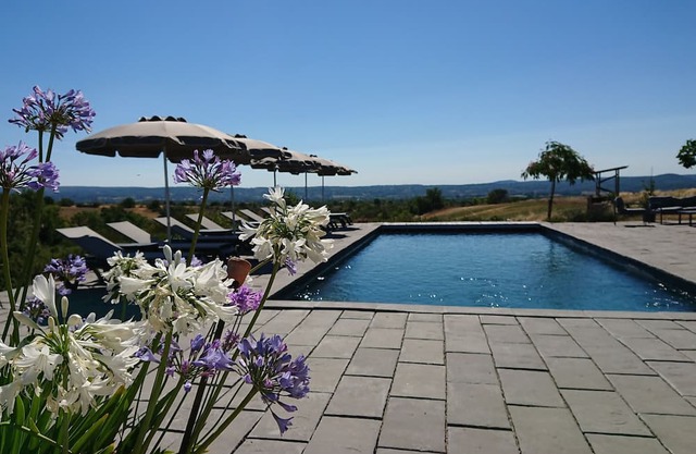 Holiday Home 'Gîte Les Vignes Au Mas Dujau' with Shared Pool, Wi-Fi and Air Conditioning