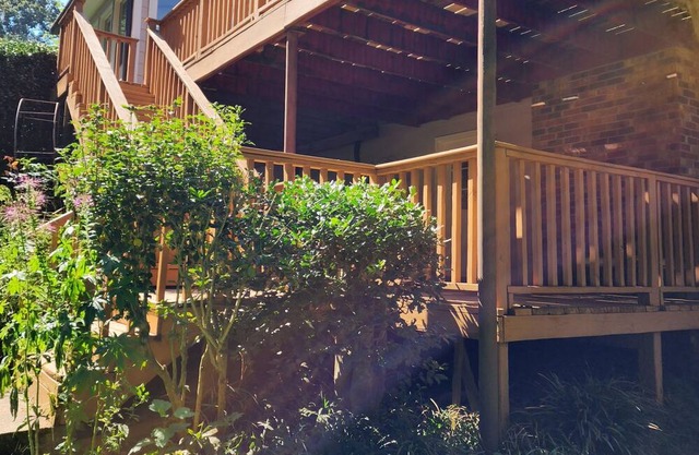 Lush secret garden and forest pathway right by Stone Mountain Park!