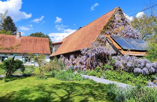 Self-catering cottage in Flanders