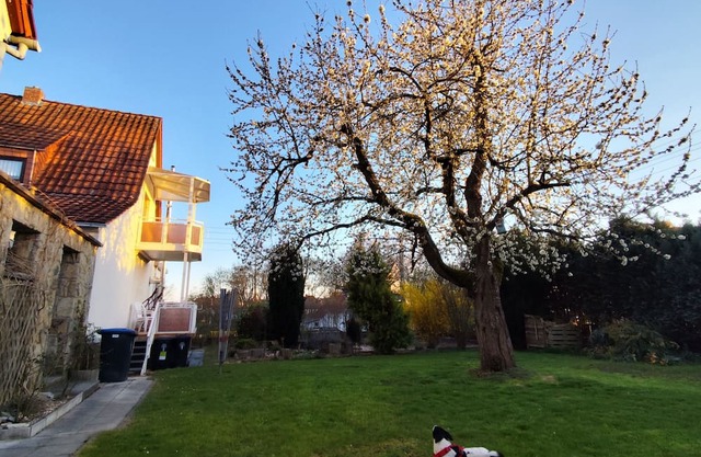 Vacation home for families/groups with sauna, oven and large garden with barbecue