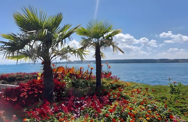 Apartment 'Directly On The Überlingen' with Lake View and Wi-Fi