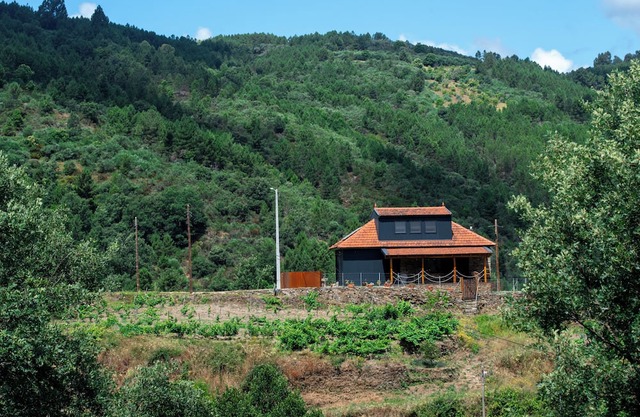 Eira Velha House