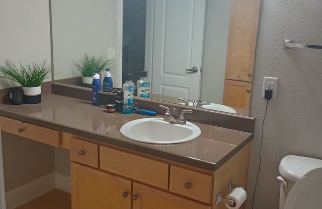 Cozy Luxury I BR Apartment At Energy Corridor