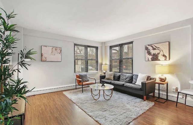 1BR Bright and Airy Apt in Hyde Park