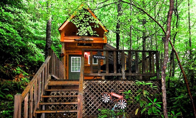 Andrews House | Little Tree
