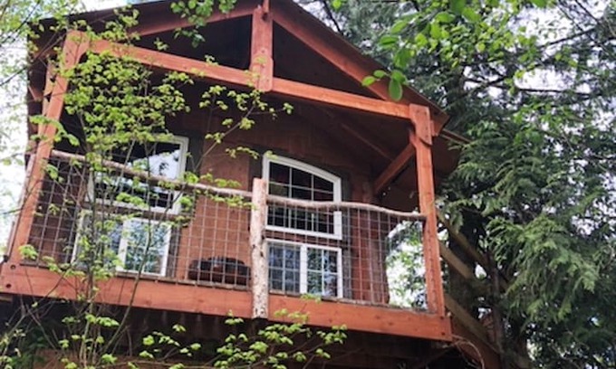 Concrete Other | The Robin's Nest at Treehouse Junction