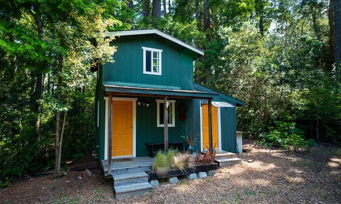 Albion House | Tiny Cabin in the Redwoods