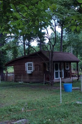 Petsworth Other | Nothing Fancy at Witts End Mini Farm on Beaver Dam