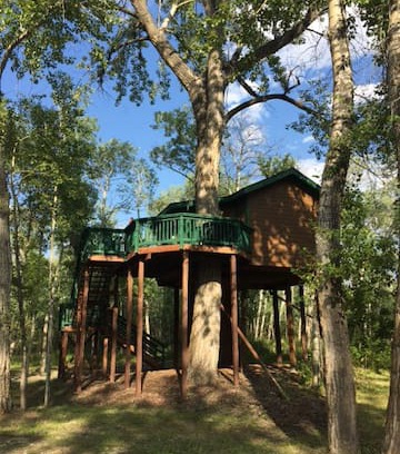 Four Corners Other | Cardinal Treehouse #9 at Gallatin River Hideaway