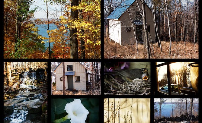Valois Cabin | Caywood Cabin By The Stream