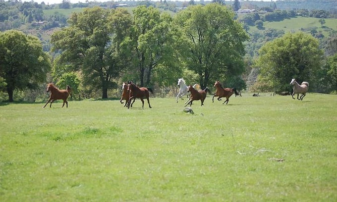 Newcastle Other | Crater Hill Ranch Shack