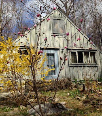 Granville House | Art-Funk Cabin in the Woods is now 420-friendly!
