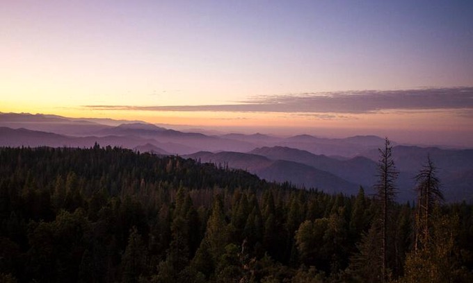 Shaver Lake House | The Canopy Sierras - Mountain Top Tiny House