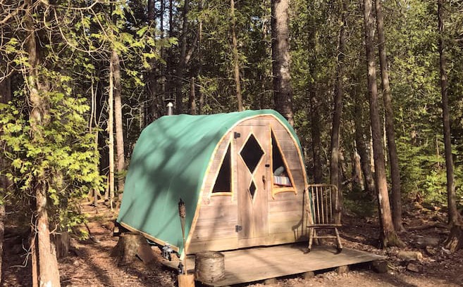 Seal Cove Other | Coyote's Den at The Howling Woods