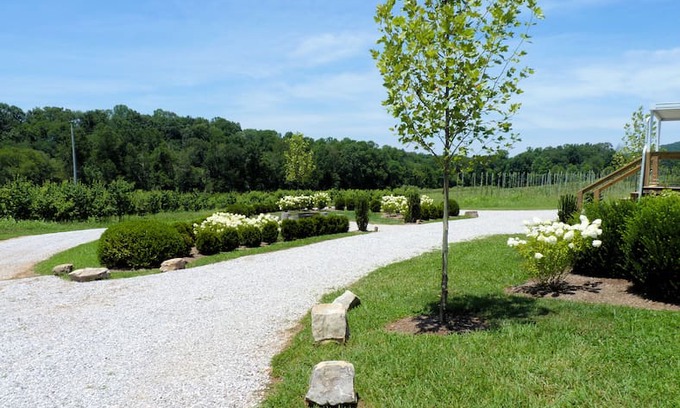 McMinnville Other | The Getaway at the Collins River Tree Farm