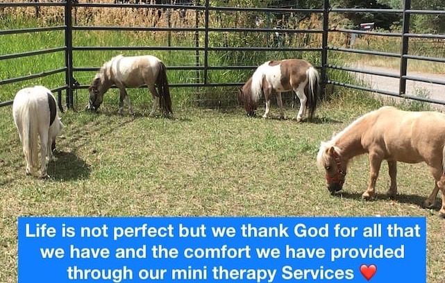 Idlewild Estates Other | Moe's Mini Horse Farm - Deer Bedroom (Queen)