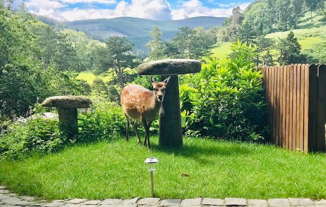 Glendalough House | ‘An Cillín’, a rustic retreat in Glendalough